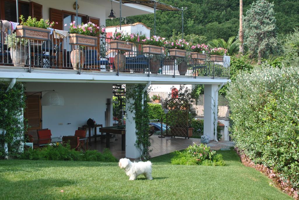 Casa Vacanze Villa Antonella By Gocce Vico Equense Kültér fotó
